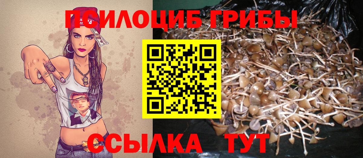 Алатырь  Псилоцибиновые грибы мицелий  Вход с VPN 