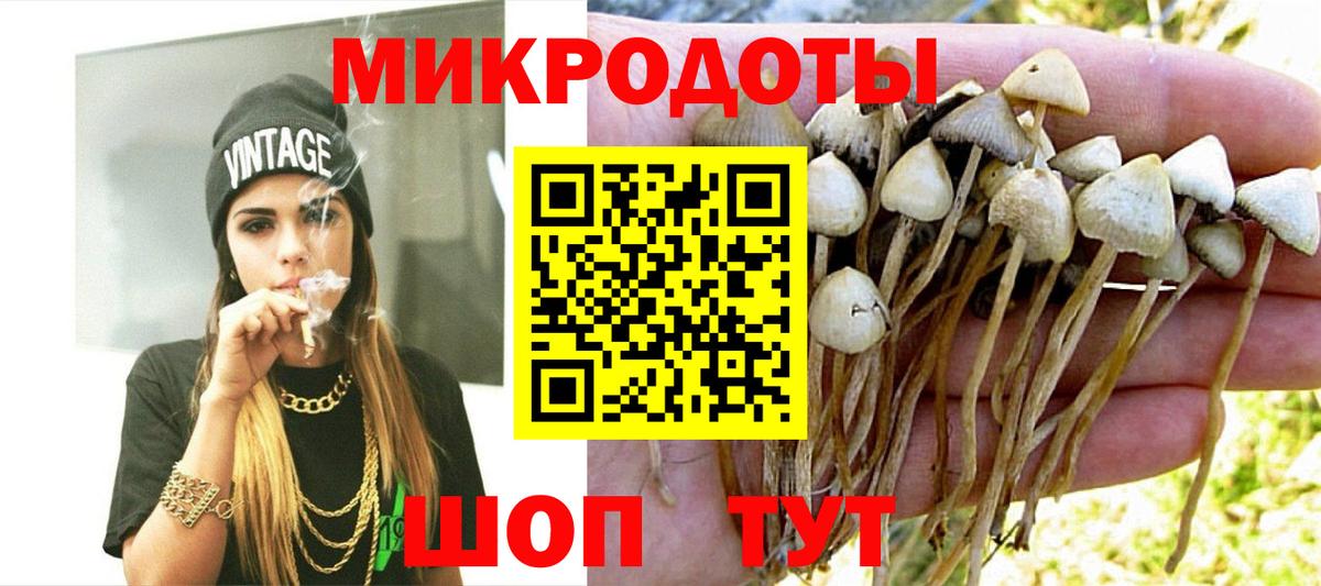 Галлюциногенные грибы Magic Shrooms Алатырь